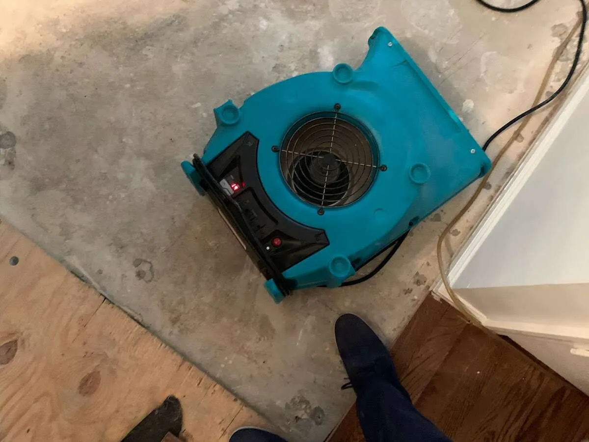 Air mover drying subfloor during Commercial Water Damage Restoration in Pine Hills